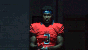 carson newman dance GIF by Carson-Newman Athletics