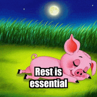 Wisdom Enlightenment GIF by The Pigasso