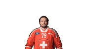 Celebrate National Team Sticker by Swiss Ice Hockey