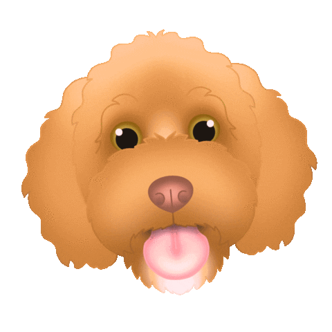 Rufus The Cavoodle Sticker by zoopeez