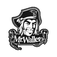 Wels Waller Sticker by Zeck Fishing
