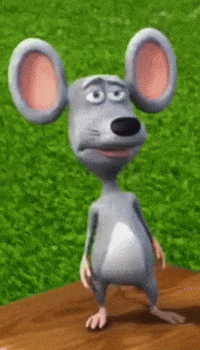 Mouse What GIF