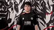 No Idea Idk GIF by G2 Esports
