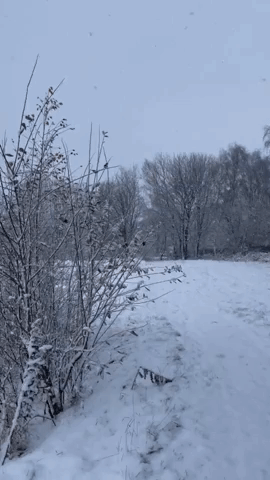 Winter Weather Brings Snowfall to Yorkshire