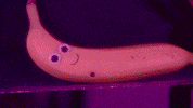 Wanderkid GIF by JW Francis