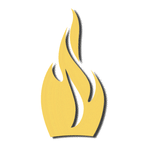 Fire Georgia Sticker by Brenau