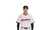 Kbo Sticker by Kiwoom Heroes Baseball Club