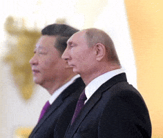 Head Putin GIF