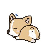 Corgi Sleeping Sticker