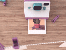 AnchorPoint animation instagram 3d photography GIF