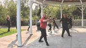 Martial Arts Kungfu GIF by Shoreline Tai Chi