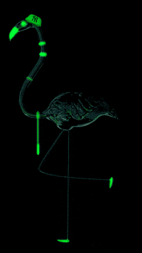 artist glow GIF