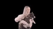 hartundhoeflich dog good mood doggo GIF