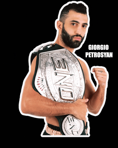 TeamPetrosyan giphygifmaker fight mma kick GIF