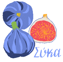 Summer Fruit Sticker by Cartoules Press