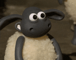 TV gif Timmy from Shaun the Sheep blinks and extends 2 thumbs up as a lopsided grin emerges on the side of his face