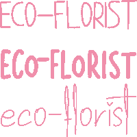 boeketdefleurs local bouquet brussels fleurs Sticker