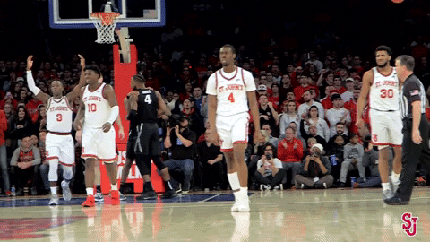 Lets Go Crowd GIF by St. John's Red Storm