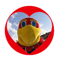 One Day One Ku Sticker by KU Endowment