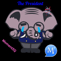 Be Happy Independence Day GIF by MomentSQ