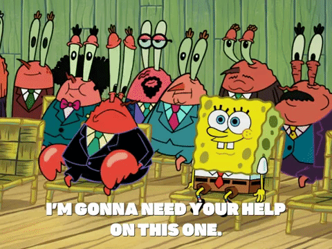 season 7 episode 6 GIF by SpongeBob SquarePants