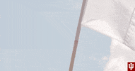 Flag Iu GIF by Indiana Hoosiers