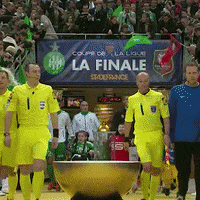 France Football GIF by AS Saint-Étienne