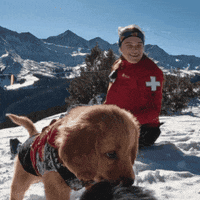 Ikon Pass Bark Bracket GIF by ikonpass