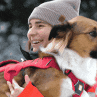 Ikon Pass Bark Bracket GIF by ikonpass