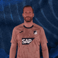 Sport Bundesliga GIF by TSG Hoffenheim