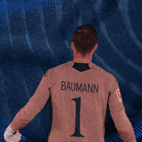 Sport Bundesliga GIF by TSG Hoffenheim