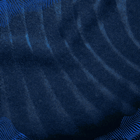 Sport Bundesliga GIF by TSG Hoffenheim