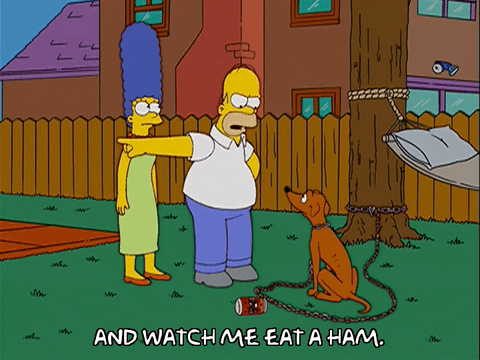 homer simpson GIF