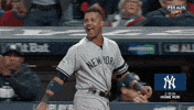 Starlin Castro Yankees GIF by Jomboy Media