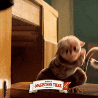 Tor Finale GIF by Die Schule der magischen Tiere - Der Film