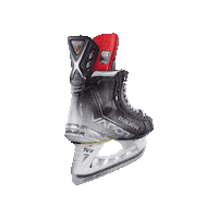 Hockey Sur Glace Sticker by Barnot