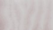 GIF by Colony House - Band