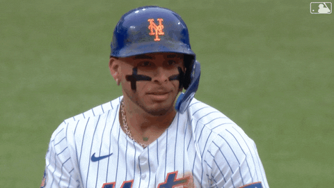 Baseball Mlb GIF by New York Mets