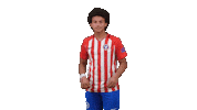 Football Soccer Sticker by Gulf United FC