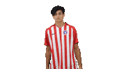 Football Soccer Sticker by Gulf United FC