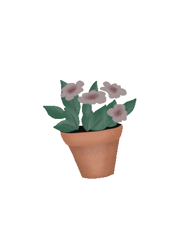 Maximeee giphyupload flower flowers garden Sticker