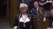 news parliament brexit debate GIF