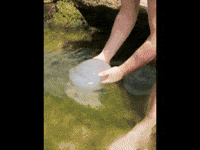 欸 誒 GIF