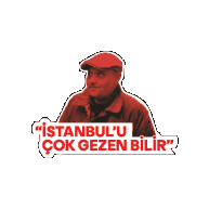 Istanbul Sticker by Gain