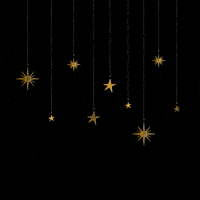 MerissaVictor stars merissa merissavictor GIF