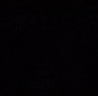 Bangladesh Bangla GIF