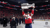 Stanley Cup Playoffs Win GIF by NHL
