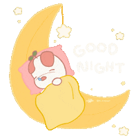 Good Night Sleeping Sticker