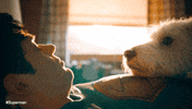 Nathan Fillion Dc GIF by Warner Bros. Pictures