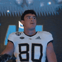 Atlanta Dylan GIF by Georgia Tech Football